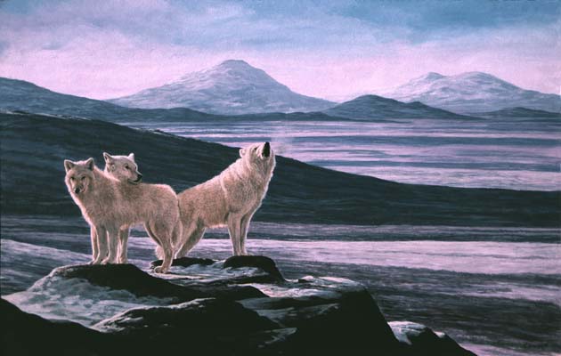 Wolves